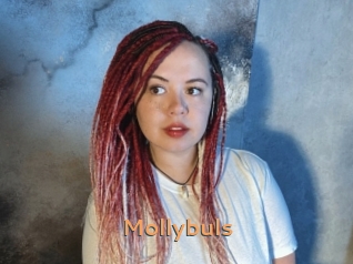 Mollybuls
