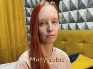 Mollyrabbit