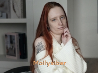 Mollysiber