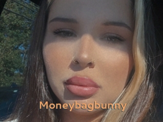 Moneybagbunny