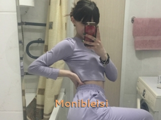 Monibleisi