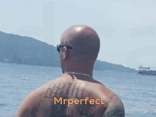 Mrperfect