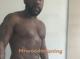 Mrwoodmoaning