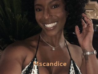 Mscandice