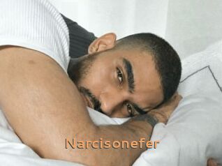 Narcisonefer