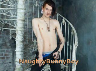 NaughtyBunnyBoy