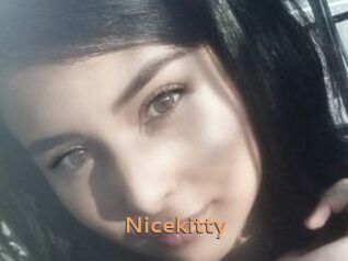 Nicekitty