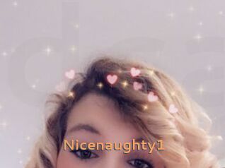 Nicenaughty1