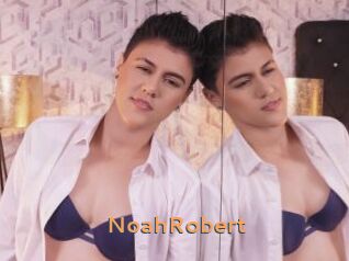 NoahRobert