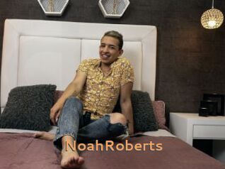 NoahRoberts