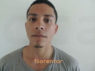 Noren_tor