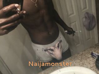 Naijamonster