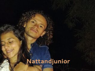 Nattandjunior