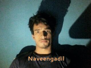Naveengadil
