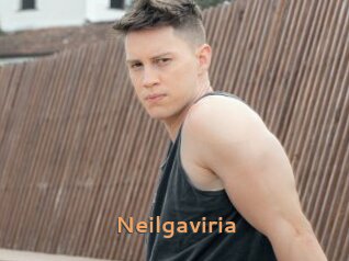 Neilgaviria