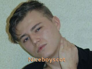 Niceboyscot