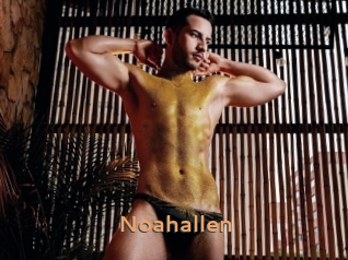 Noahallen
