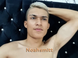 noahsmitt Du Cul A Gogo