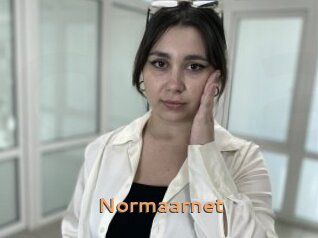 Normaarnet