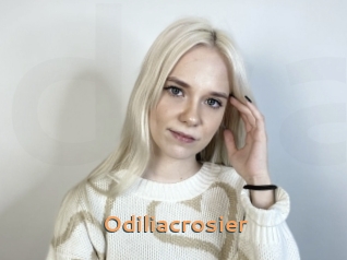 Odiliacrosier