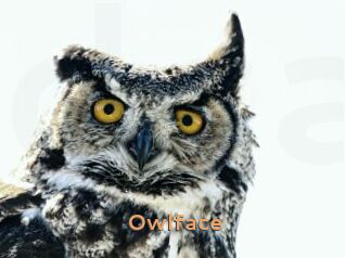 Owlface