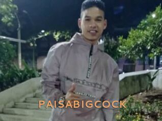 PAISABIGCOCK