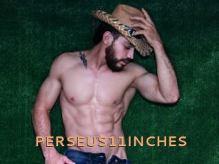 PERSEUS11INCHES