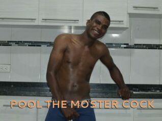 POOL_THE_MOSTER_COCK