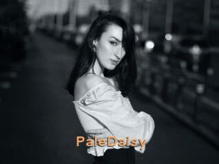 PaleDaisy