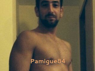 Pamigue84