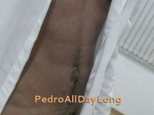 PedroAllDayLong