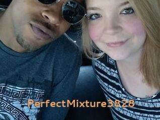 PerfectMixture3828