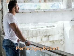 PerfectguyRobert