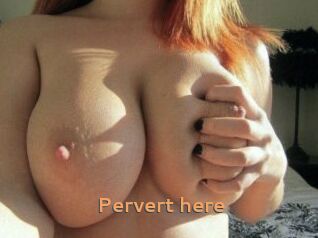 Pervert_here