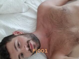 Pj001