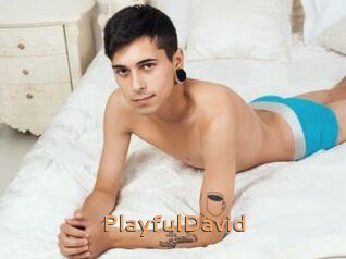 PlayfulDavid