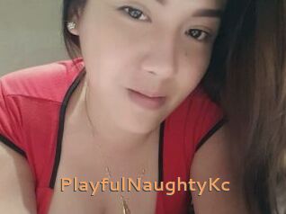 PlayfulNaughtyKc