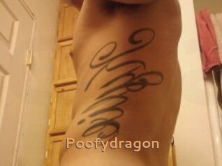Poofydragon
