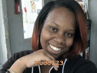 Pudd123