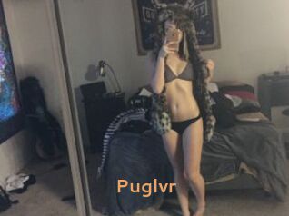 Puglvr