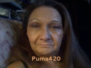 Puma420