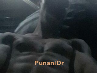 PunaniDr