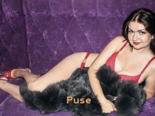 Puse