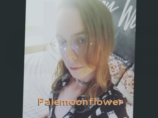 Palemoonflower