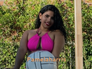pamelaharris Du Cul A Gogo