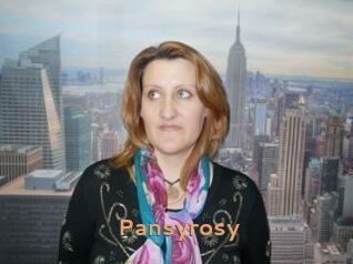 Pansyrosy