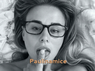 Paulinamice