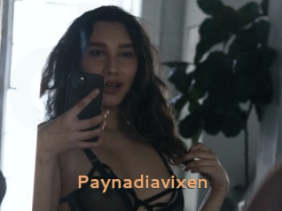 paynadiavixen Du Cul A Gogo