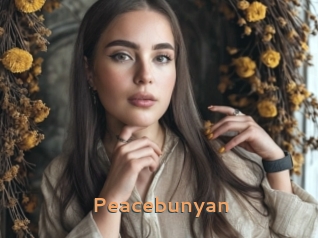 Peacebunyan