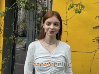 Peacefenning